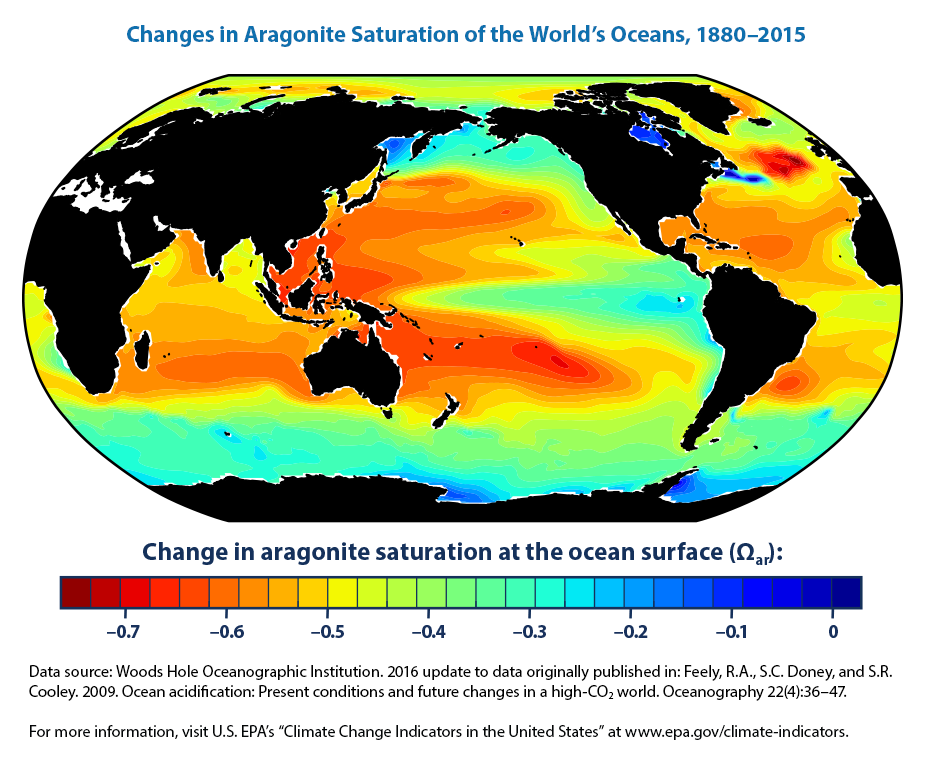 Ocean Acidification 